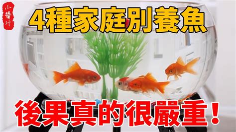 養魚招財